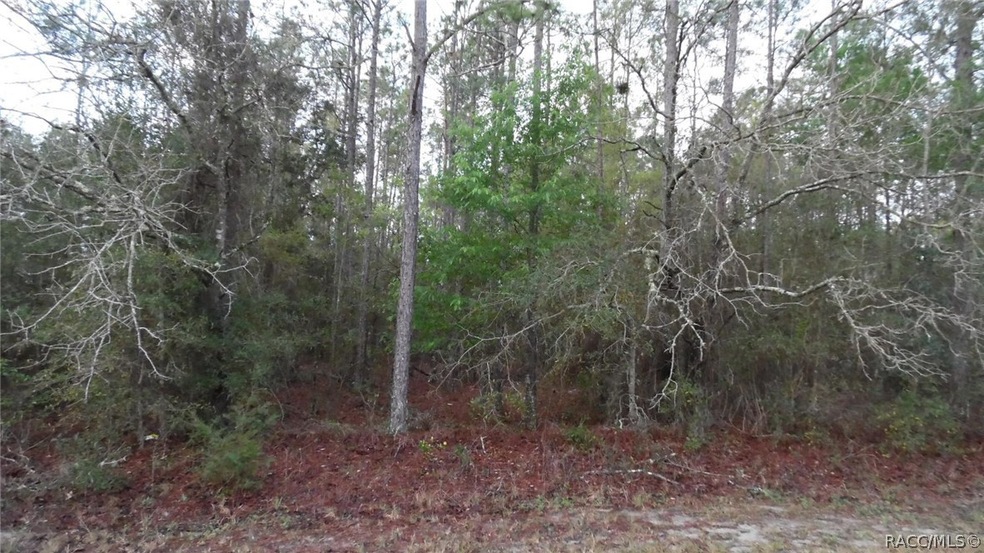 28 Lot SW 88th Place Rd, Dunnellon, FL 34431 - photo 1