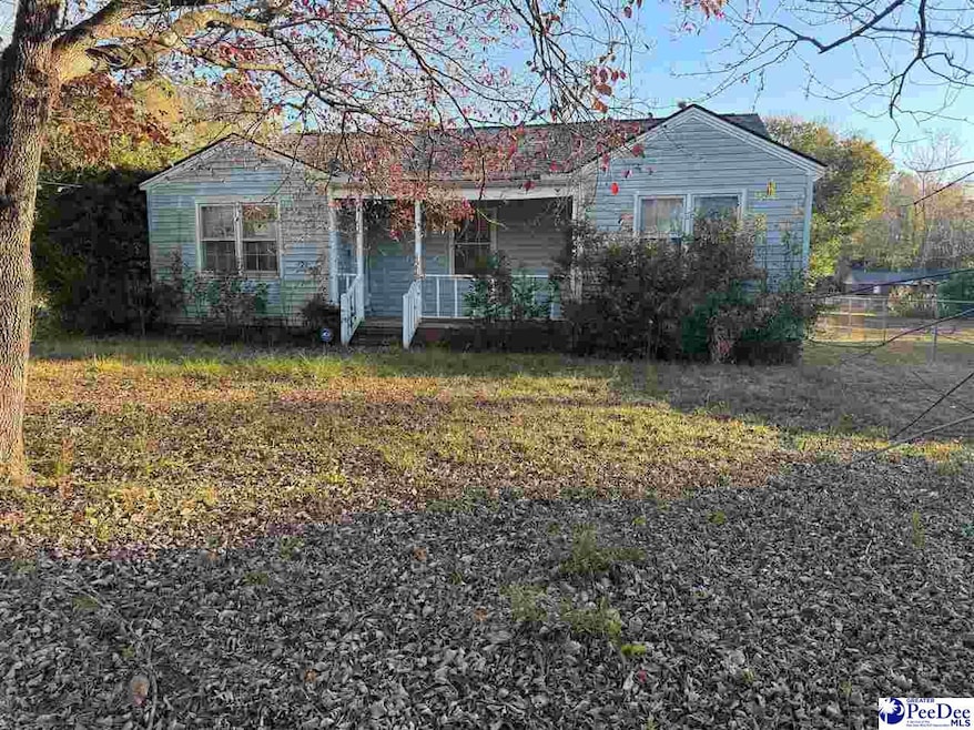 909 Gibson St, Hartsville, SC 29550 - photo 1
