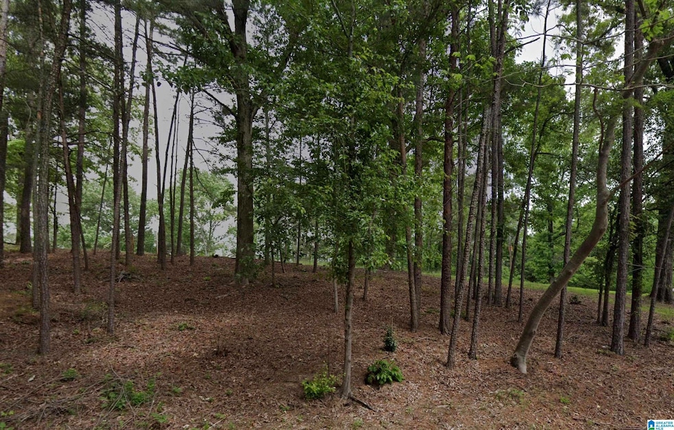 2215 Shiver Dr unit 2 lots, Bessemer, AL 35022 - photo 1