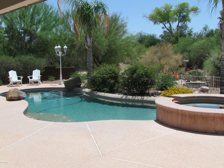 Back yard oasis