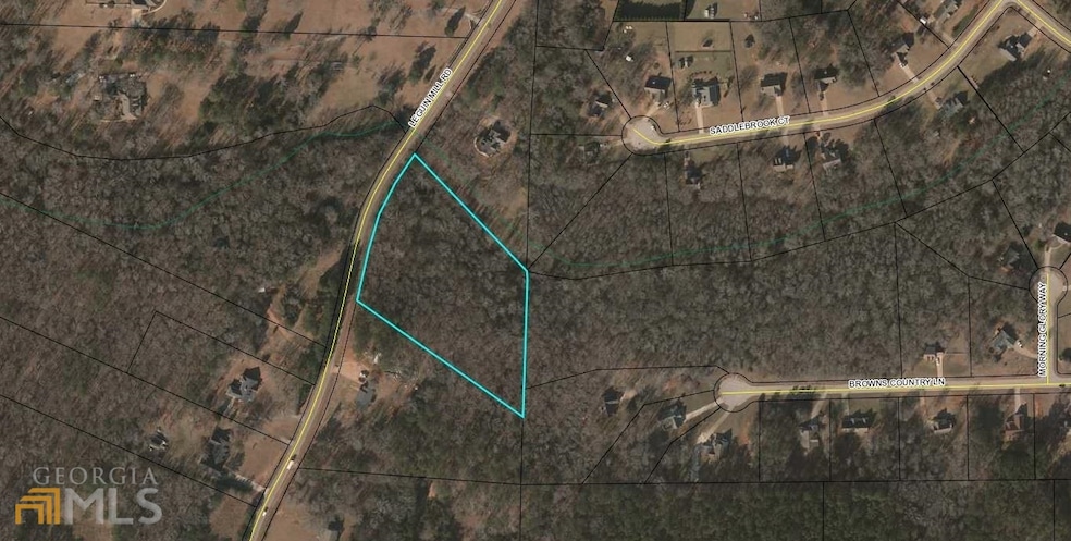 0 Leguin Mill Rd unit 8989994, Locust Grove, GA 30248 - photo 1
