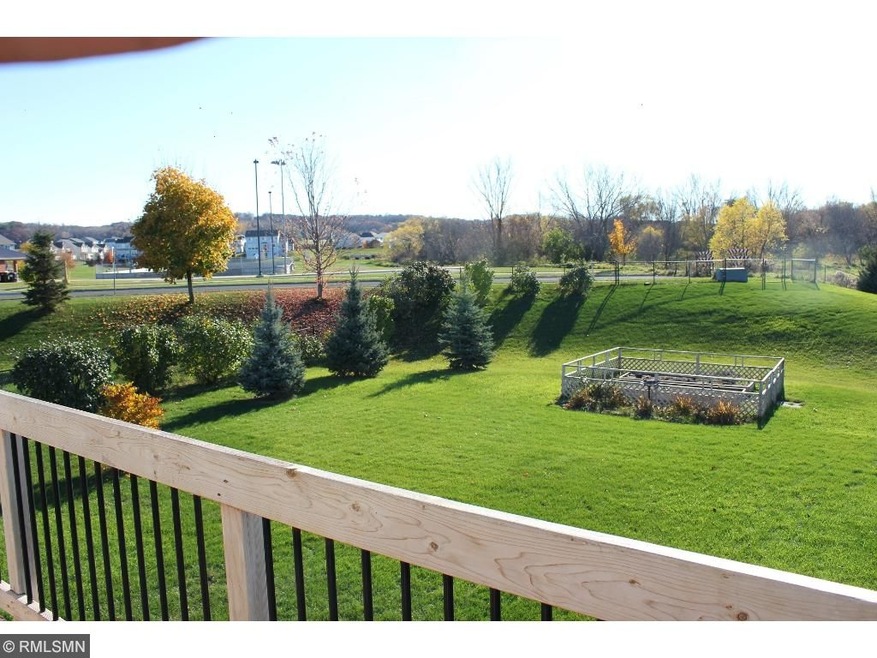 South and West Facing 1/2 acre backyard lined with