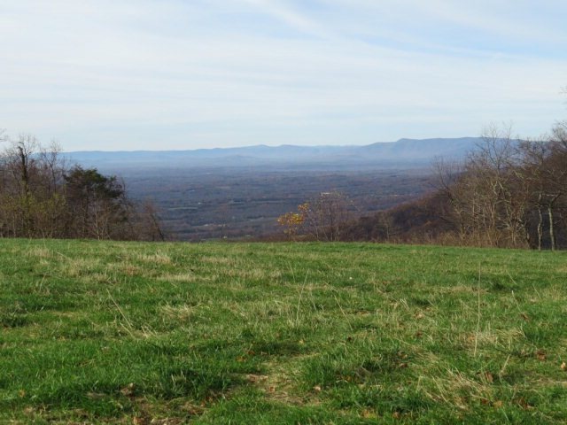 Main View