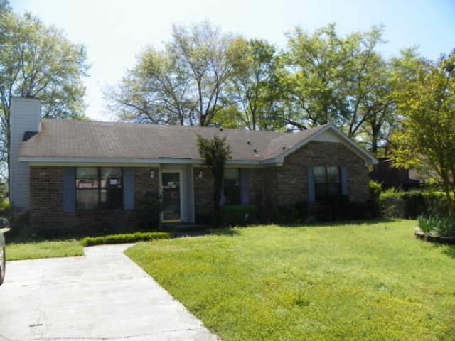 Main View