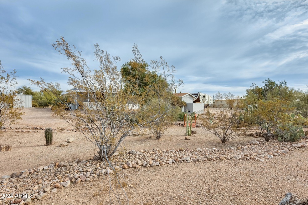 View from road of front yard