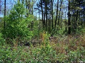 0 Brierton Ln, Bella Vista, AR 72715 - photo 1