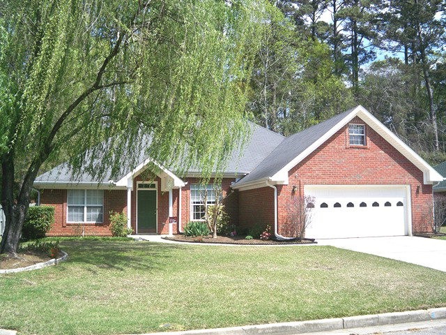 Main View
