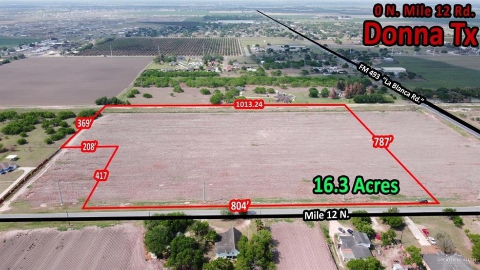FM 493 Mile 12 Rd N, Donna, TX 78537 - photo 1