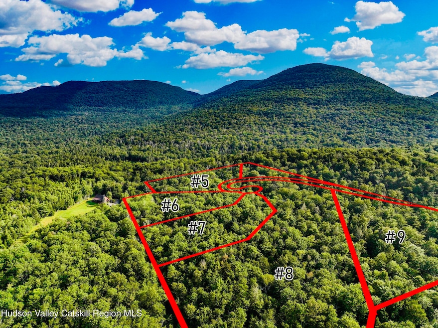 14 Corfu Rd, Hunter, NY 12427 - photo 1