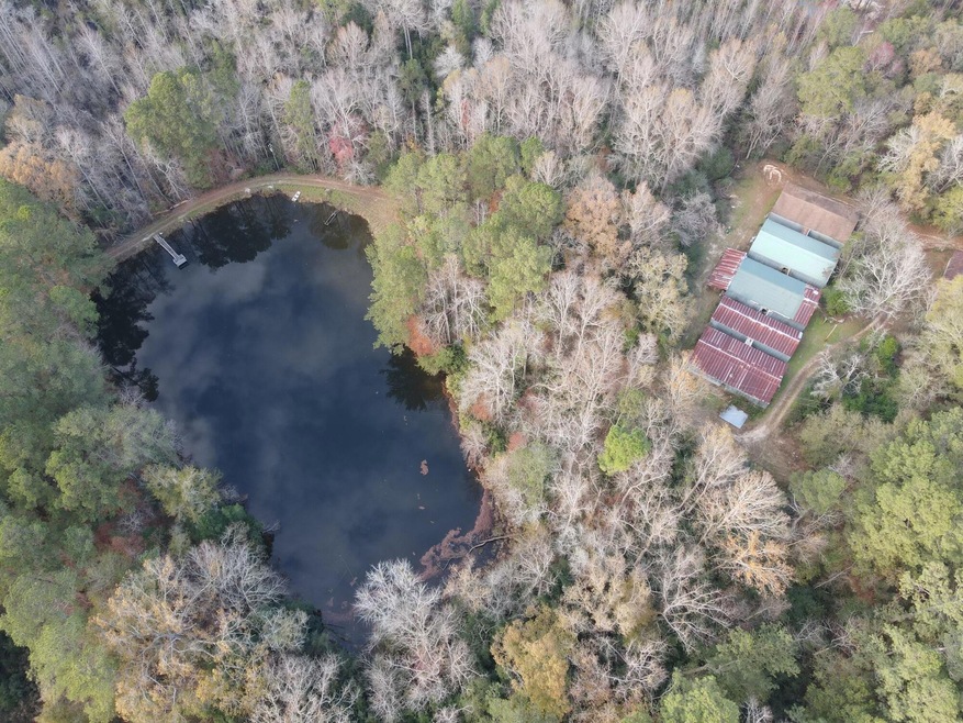 Pond 1