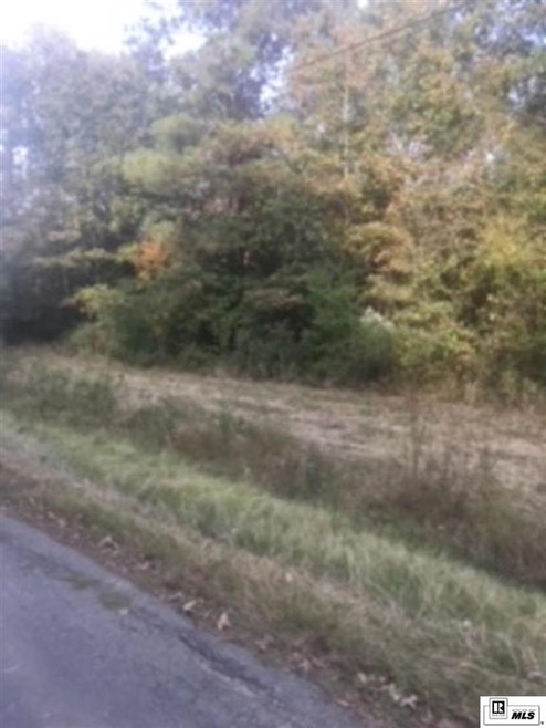 Tract 11 Wallace Rd, Bastrop, LA 71220 - photo 1