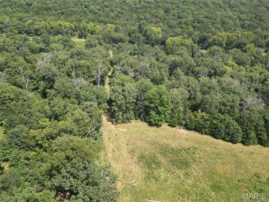 4 Lot Tanglefoot Farms Rd, Festus, MO 63028 - photo 1