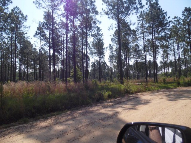 00 Trotters Ln, Vidalia, GA 30474 - photo 1