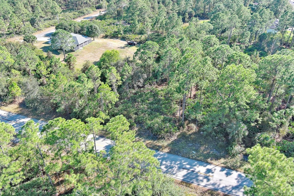 1405 W 14th St, Lehigh Acres, FL 33972 - photo 1