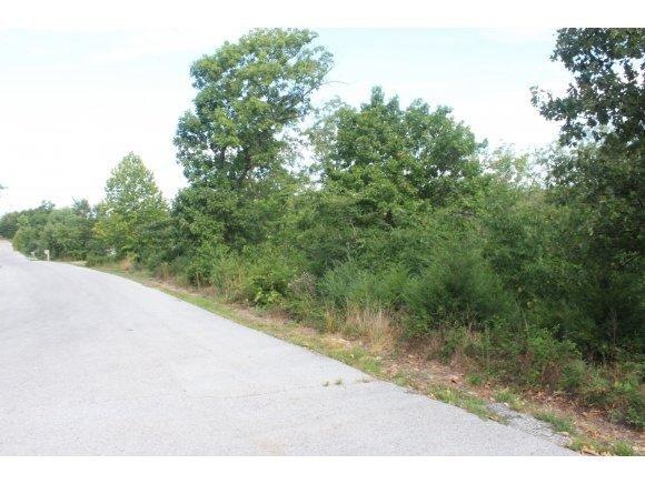 Lot 11 Pot o Gold Ln, Reeds Spring, MO 65737 - photo 1