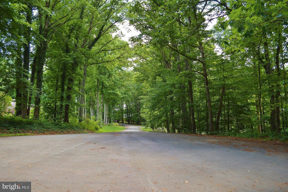 0 White Pine Ln, Cedar Mountain, VA 22701 - photo 1