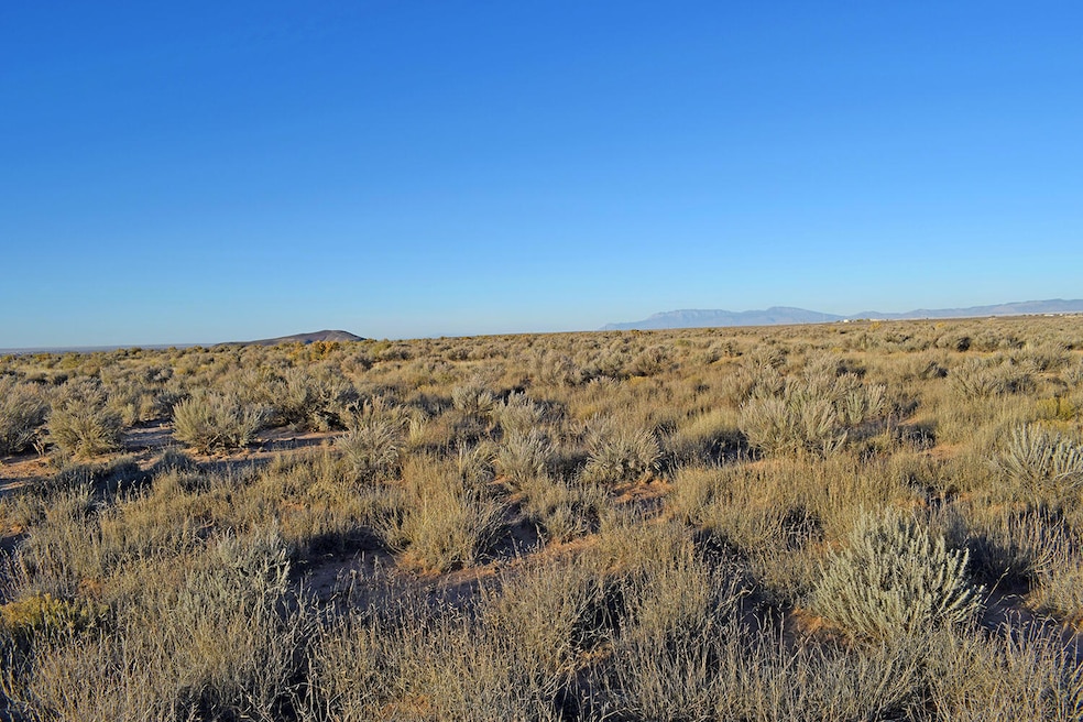 Lot 4 Rio Del Oro Loop unit 61, Los Lunas, NM 87031 - photo 1