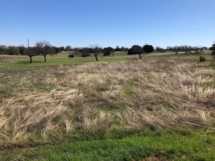 35042 Oak Wood Dr, Whitney, TX 76692 - photo 1