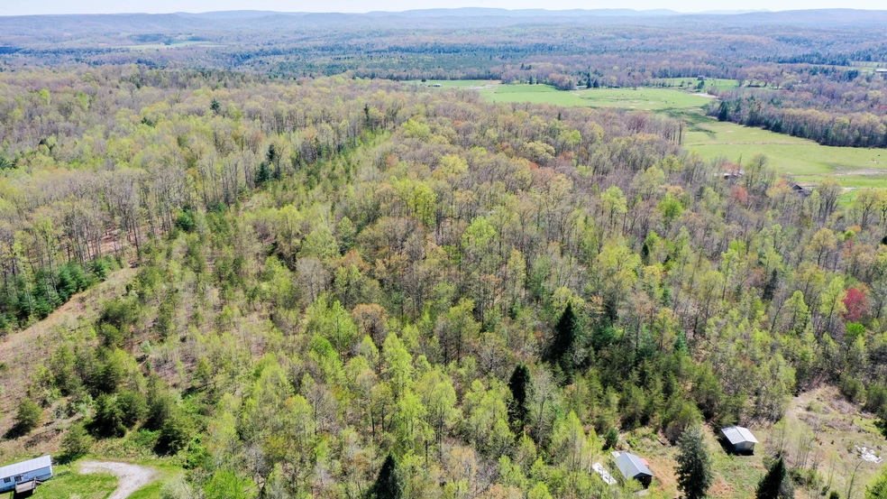 DJI_0159