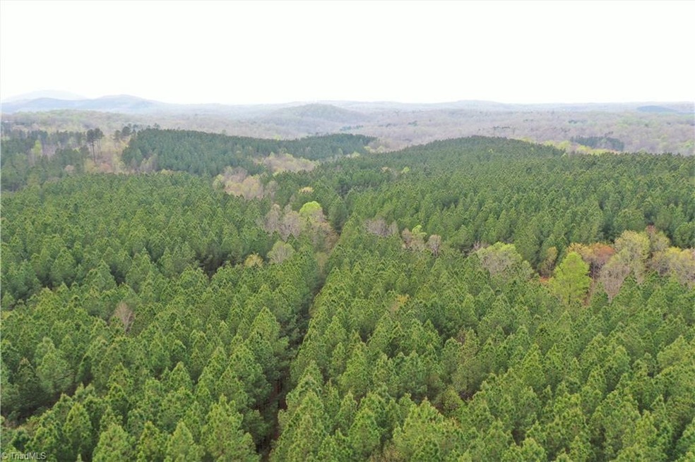 00 Benton Road Extension, Sophia, NC 27350 - photo 1