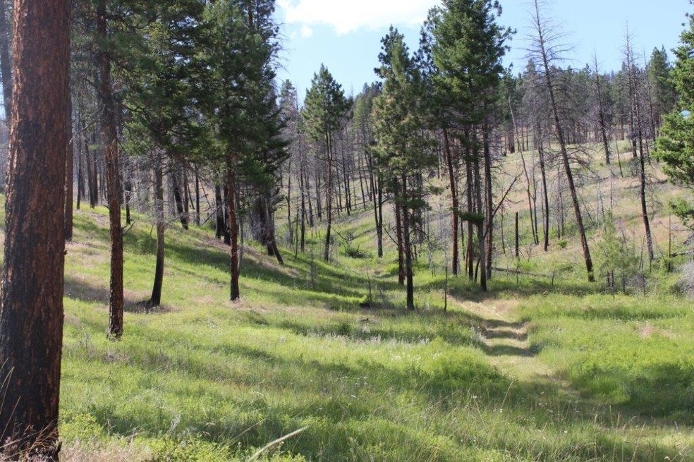 0 Corral Gulch Rd unit 220104153, Canyon City, OR 97820 - photo 1
