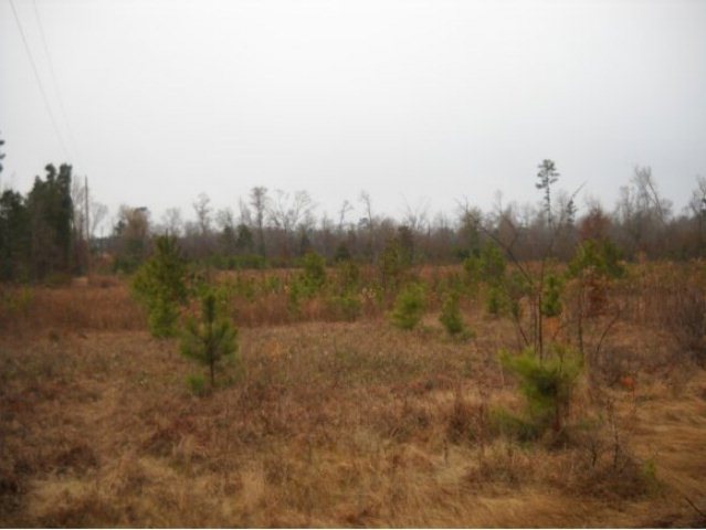 831 County Road 817, Nacogdoches, TX 75964 - photo 1