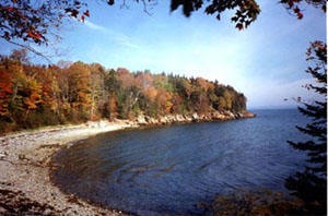 EASTSHOREdriveshorelot