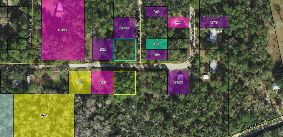 XXX Lake Ellen Dr, Crawfordville, FL 32327 - photo 1