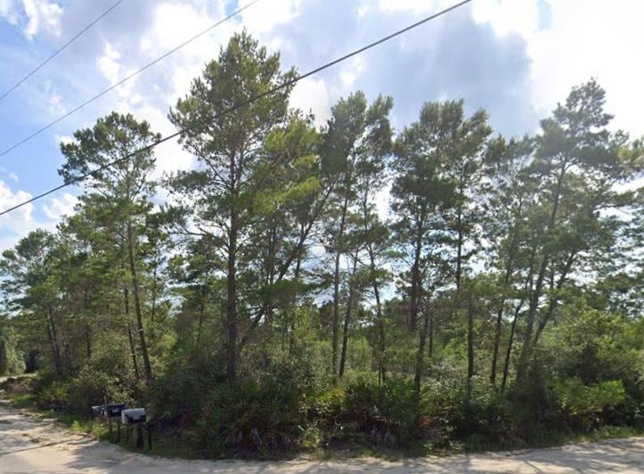 208 Woodill Rd, Carrabelle, FL 32322 - photo 1