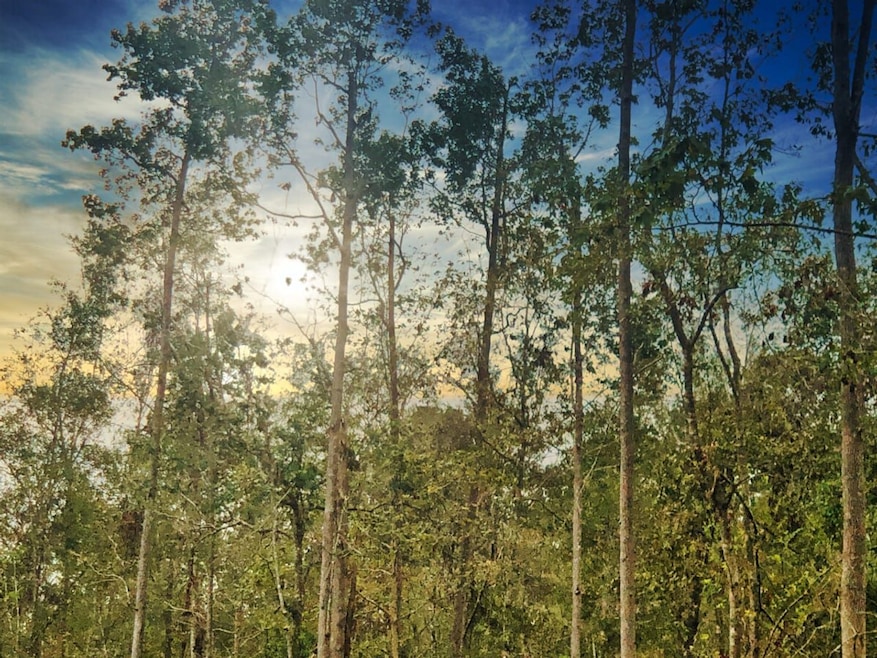 0 Oleander Dr unit 22715278, Vidor, TX 77662 - photo 1