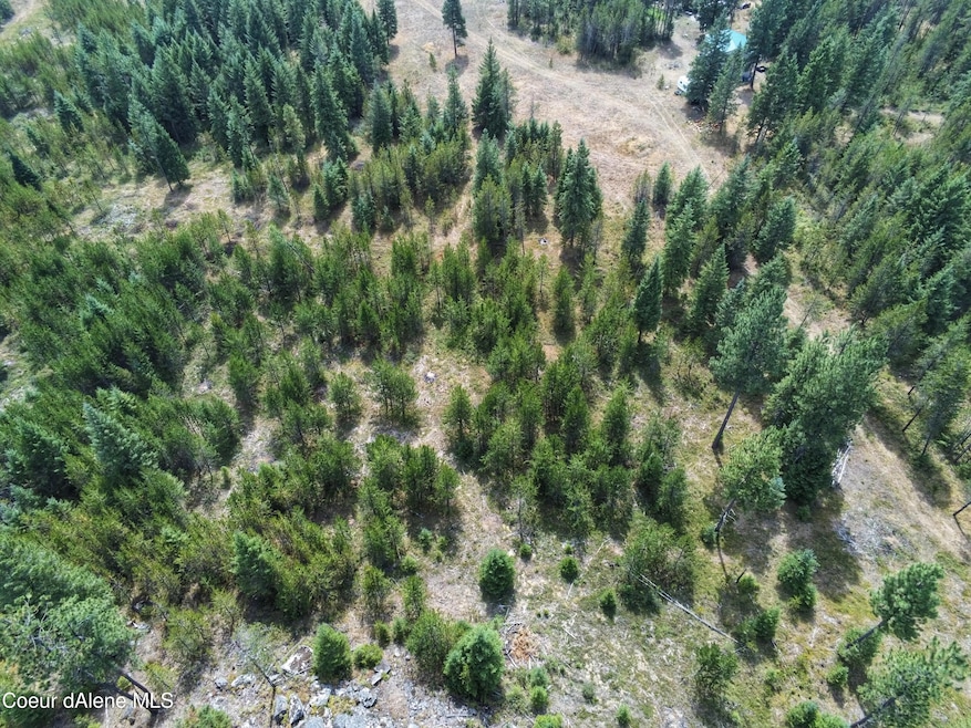 NNA Booker Rd, Athol, ID 83801 - photo 1