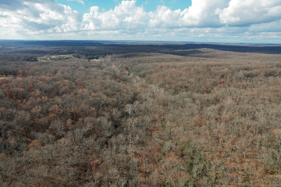 000 Hwy Pp, Collins, MO 64738 - photo 1