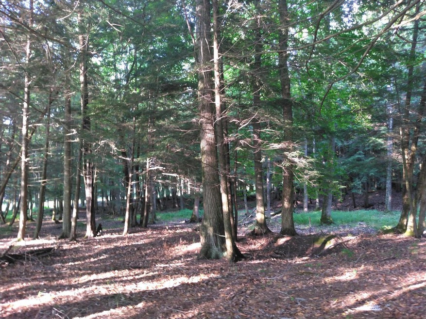 LT 13 Eagle's Way Way, Porterfield, WI 54159 - photo 1