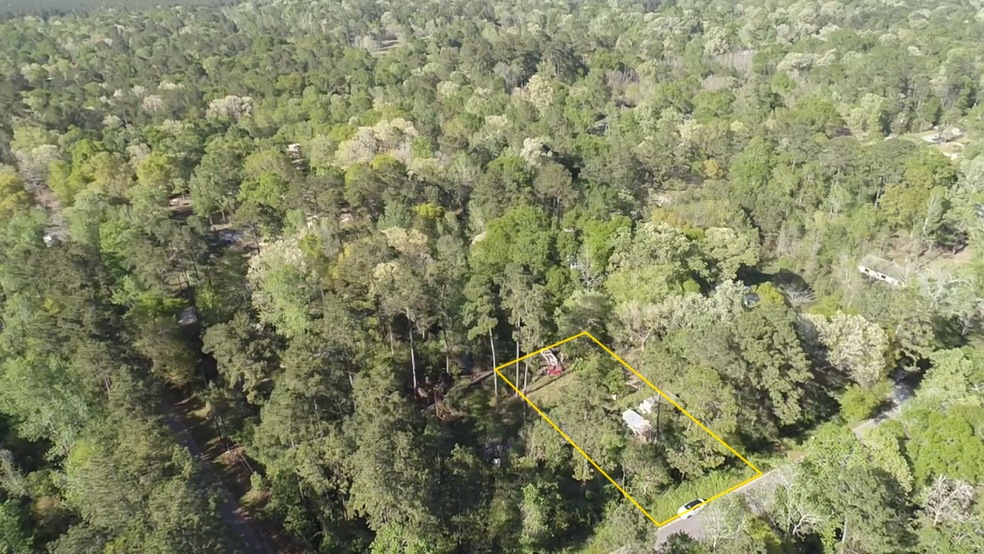 21621 Walker Dr, Conroe, TX 77306 - photo 1