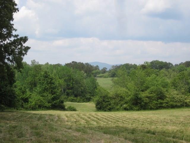 This is truly a picture of the property!