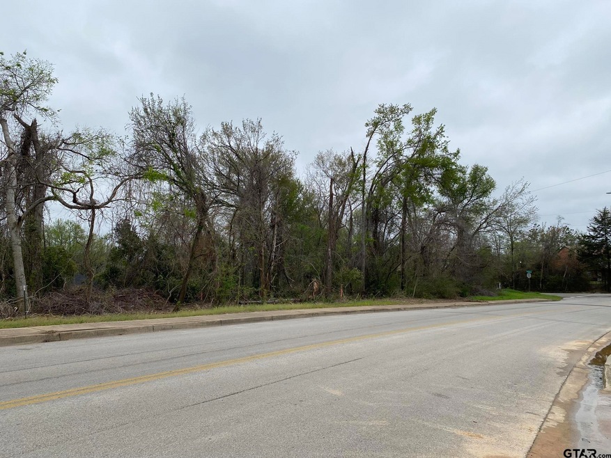 3250 Old Noonday Rd, Tyler, TX 75701 - photo 1