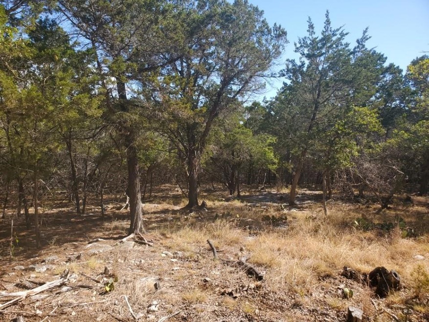 15807 Goliad Loop, Temple, TX 76502 - photo 1