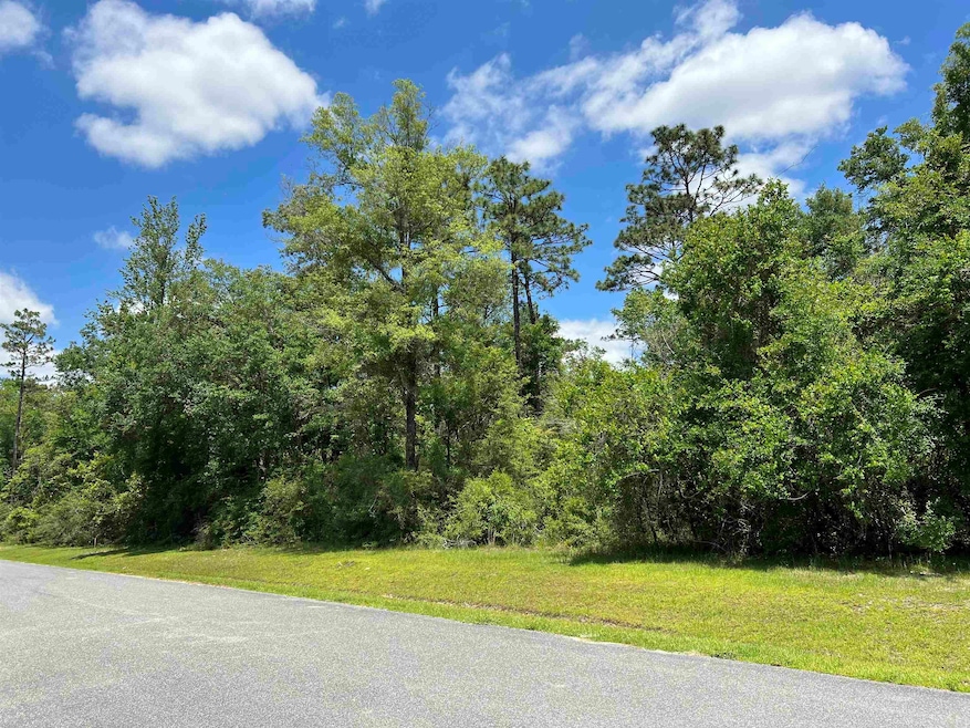 120 Sellars Dr, Crawfordville, FL 32327 - photo 1