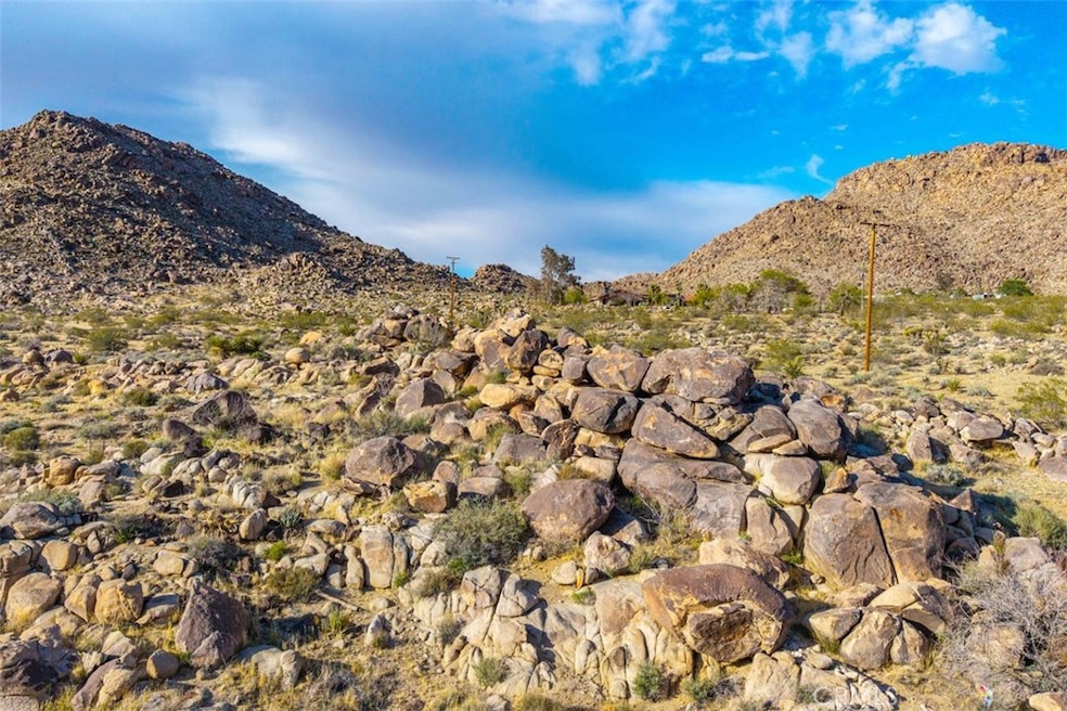 62570 Turtle Rd, Joshua Tree, CA 92252 - photo 1