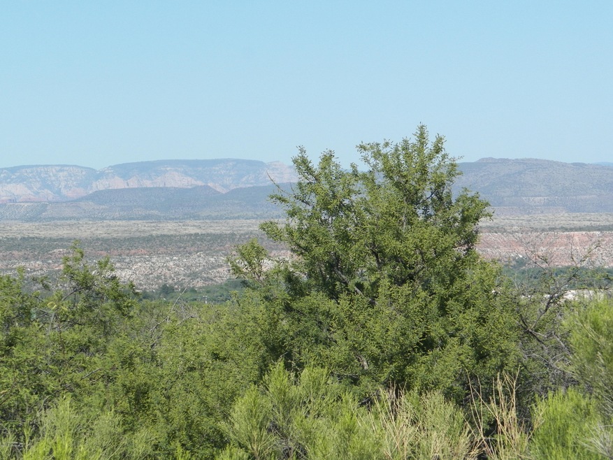 Subdivision Photo