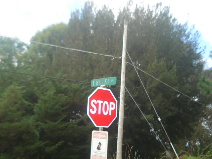 000 Ehu Iki Place, Makawao, HI 96768 - photo 1