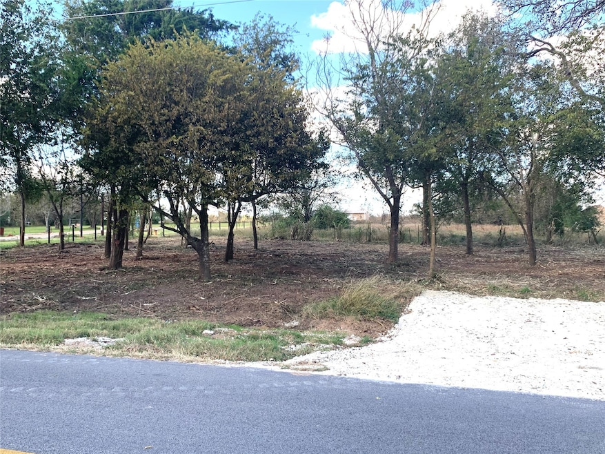 31086 Rochen Rd, Waller, TX 77484 - photo 1