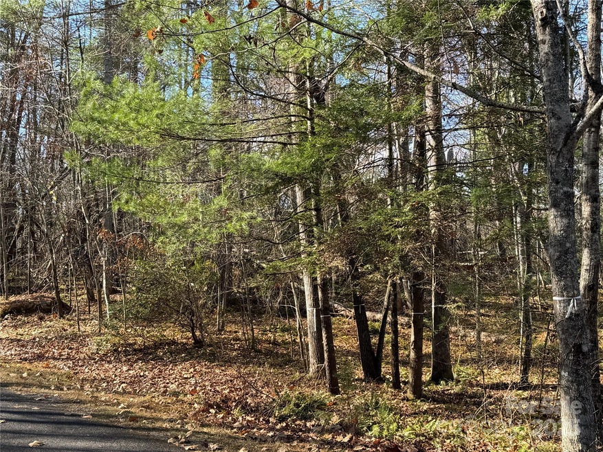 137 Nancy Ashworth Ln unit 13, Fairview, NC 28730 - photo 1