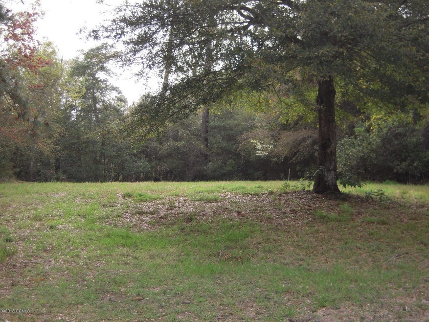 301 Cape Fear Loop