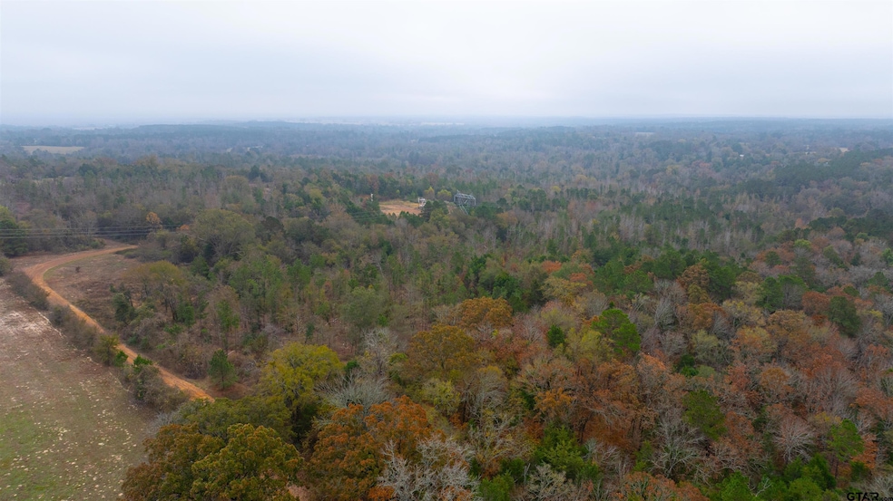 000 County Road 3272, Frankston, TX 75763 - photo 1