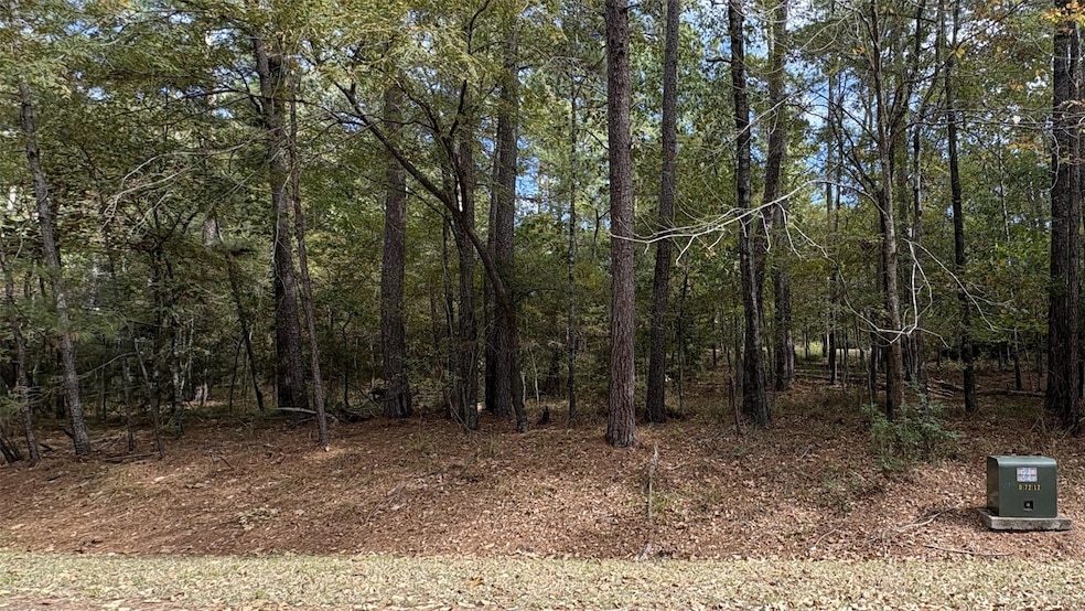 103 Green Tree Dr, Cape Royale, TX 77331 - photo 1