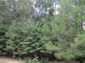 28632 Pleasant Forest, Magnolia, TX 77355 - photo 1