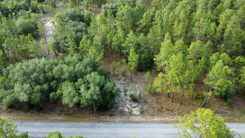 TBD SW Mineola Ln, Dunnellon, FL 34431 - photo 1