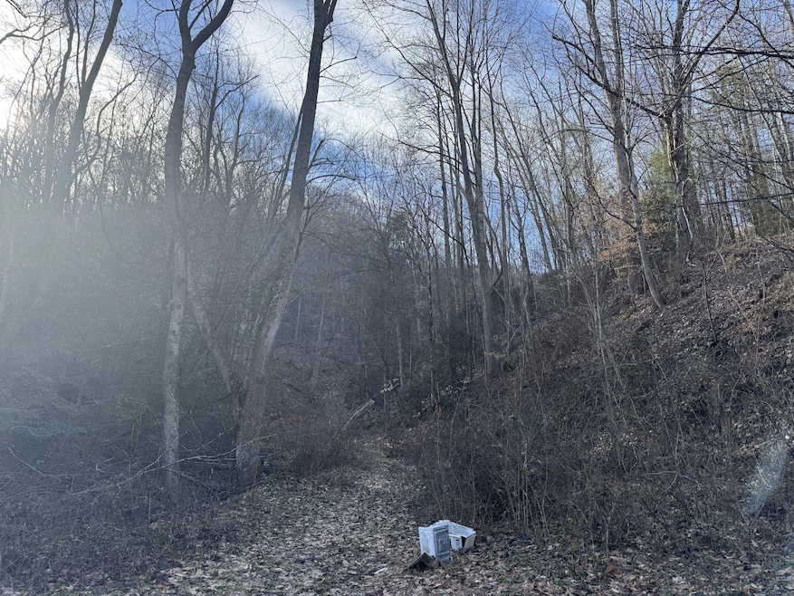 306 Rockcastle Rd, Colcord, WV 25048 - photo 1