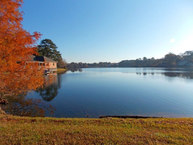 Lot 1 Cedar Ridge Rd, McComb, MS 39648 - photo 1